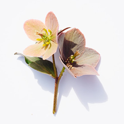 evie-s-3zEm9DoUG6I-unsplash